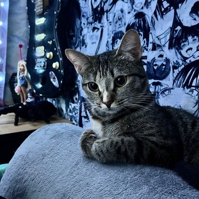 MarthaFlores profile