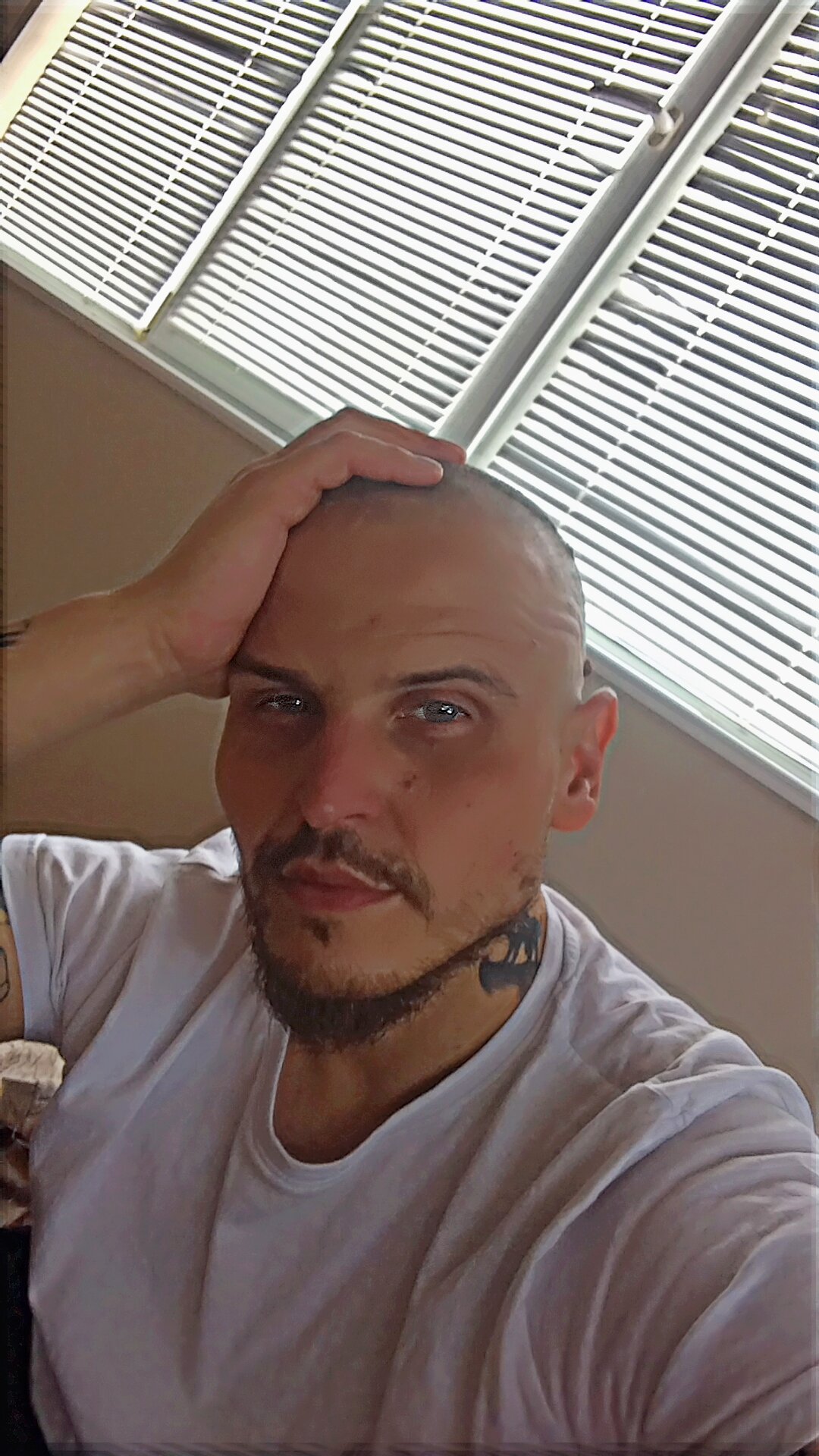 Andibianco@xh