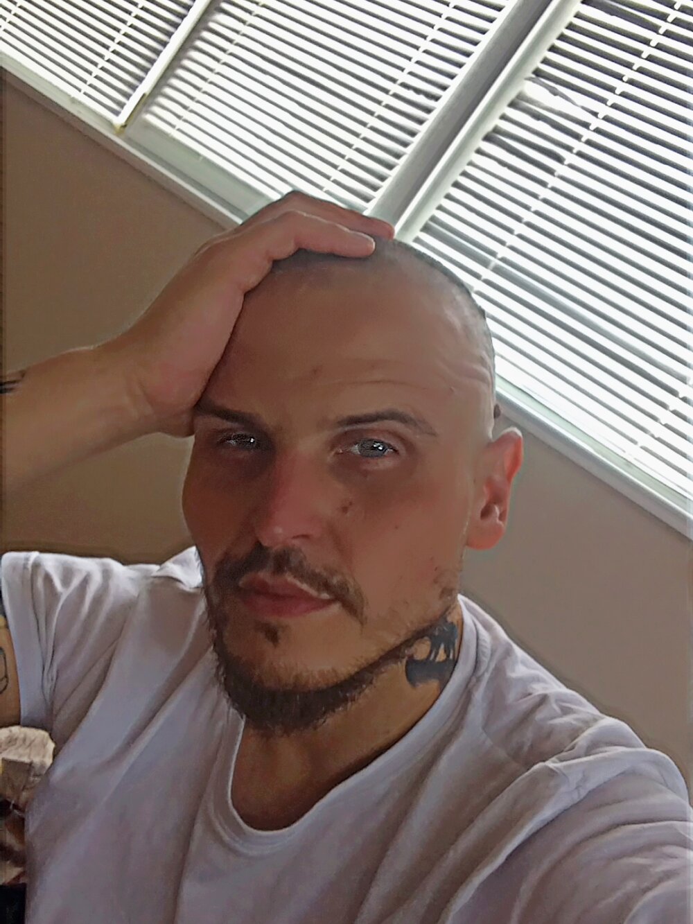 Andibianco@xh Offline XXX-Chat