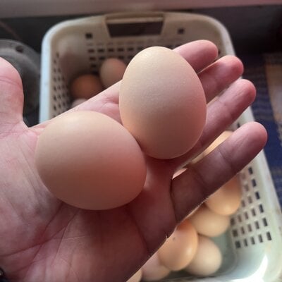 MahrovmaximLive Webcam