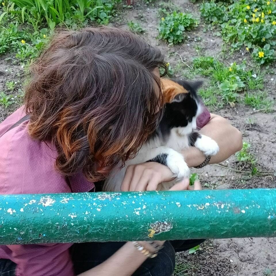 sexchat-joy.com march_snow livesex profile in english cams