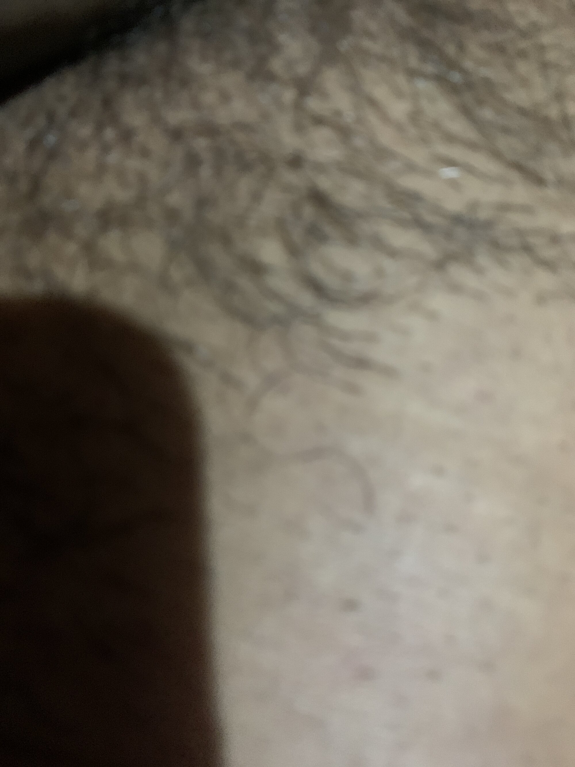 penvul17