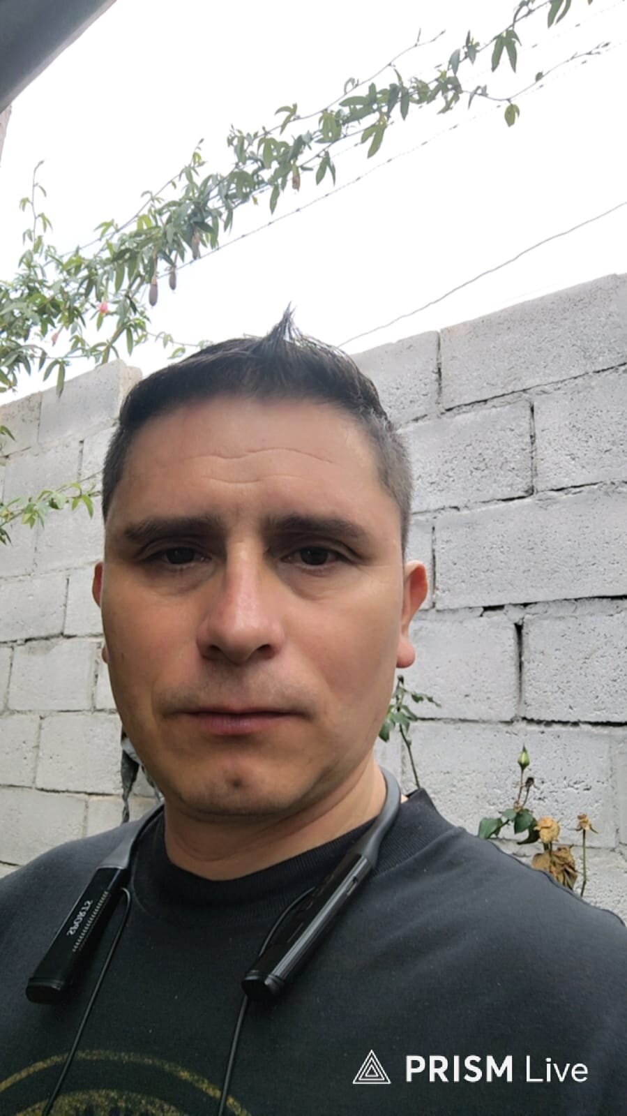 vicoactivo24