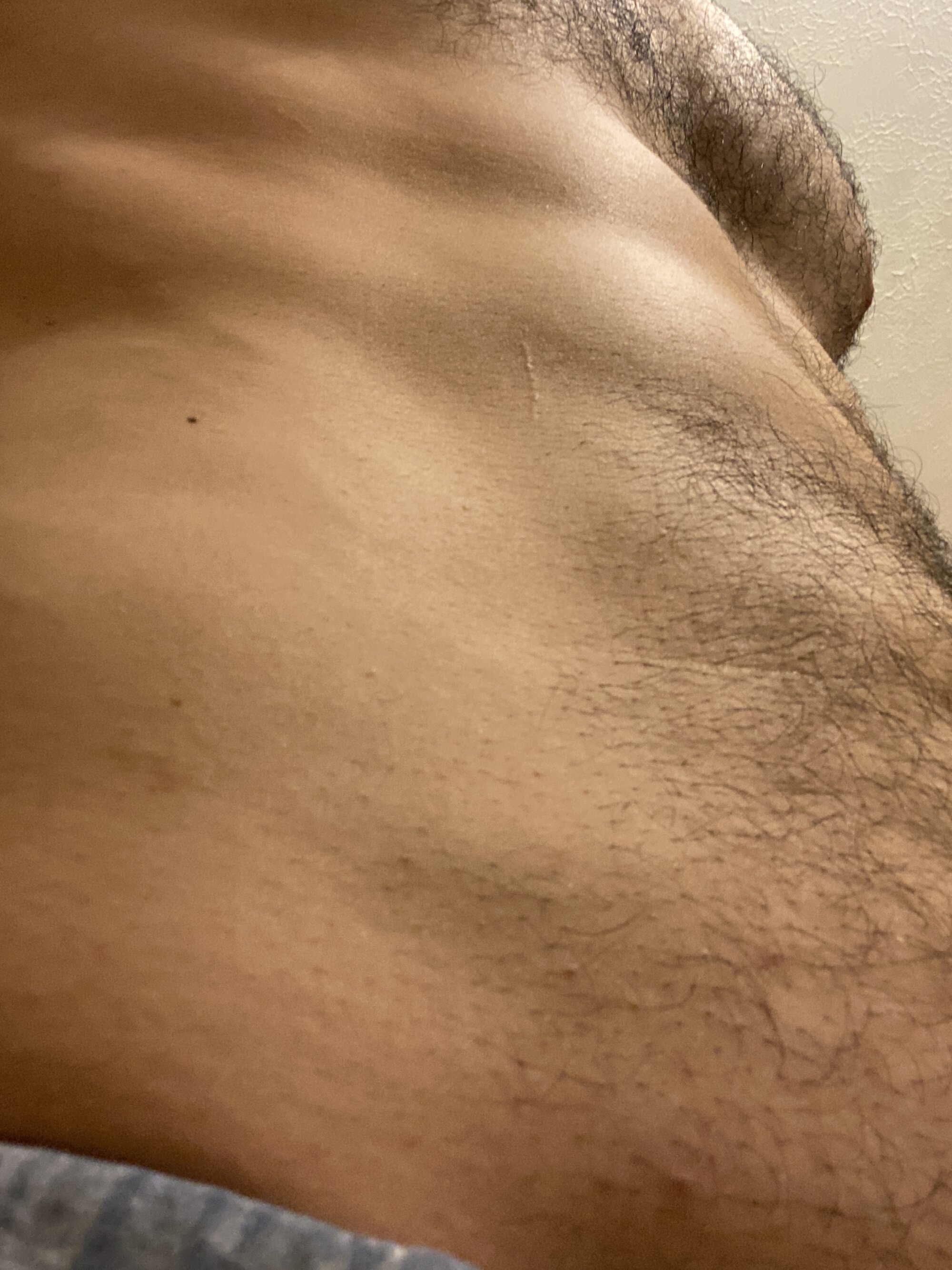 bearbby