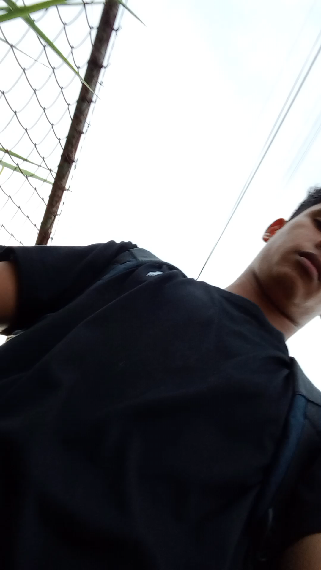 Alex12j