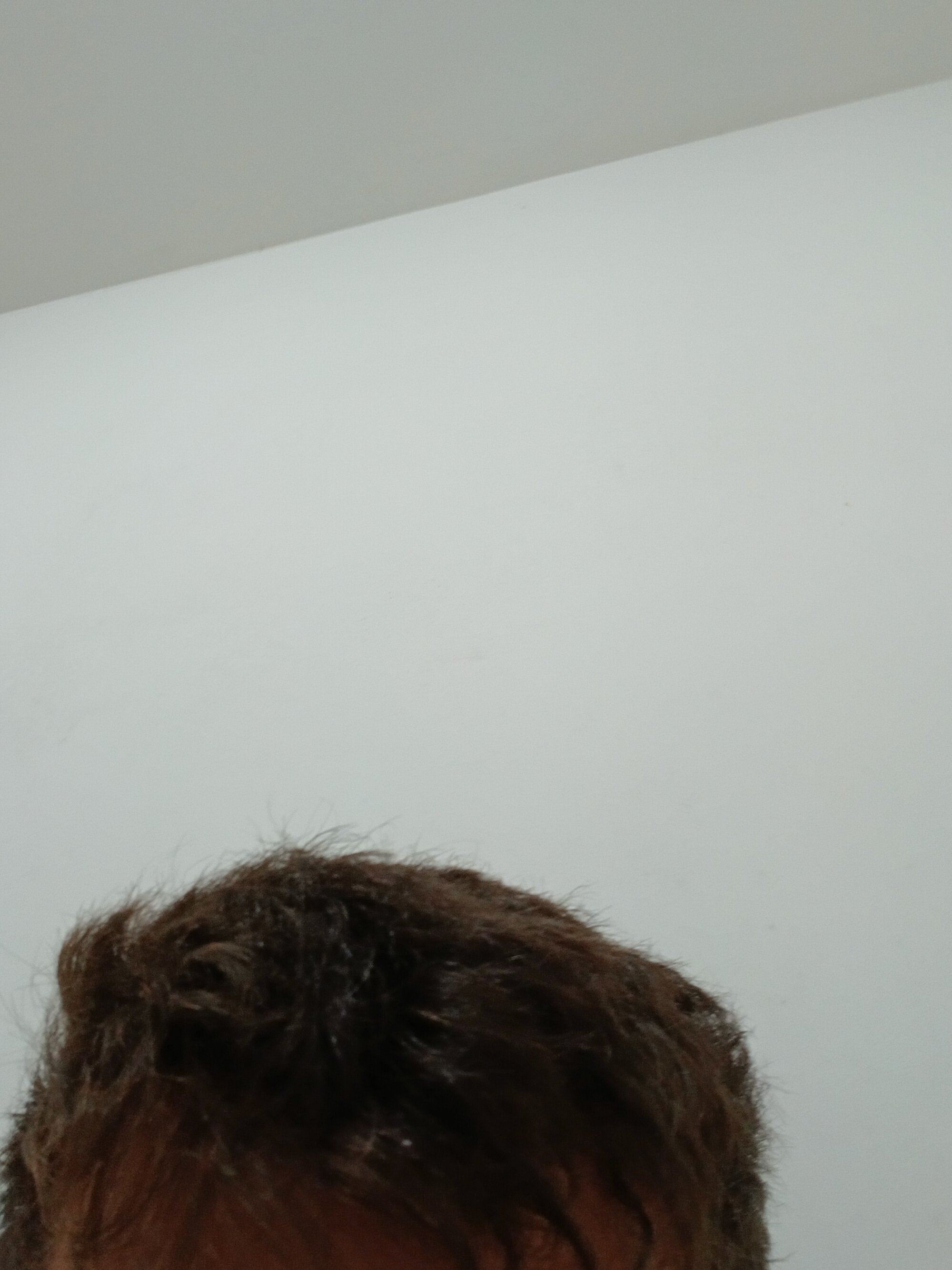 pedroped
