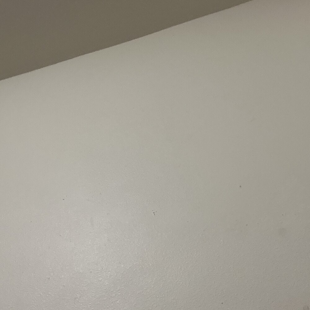 papiiiiii2025 profile