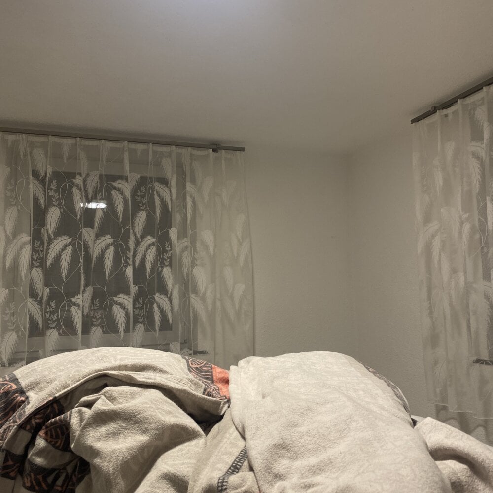 bigdickalbaner21 from stripchat