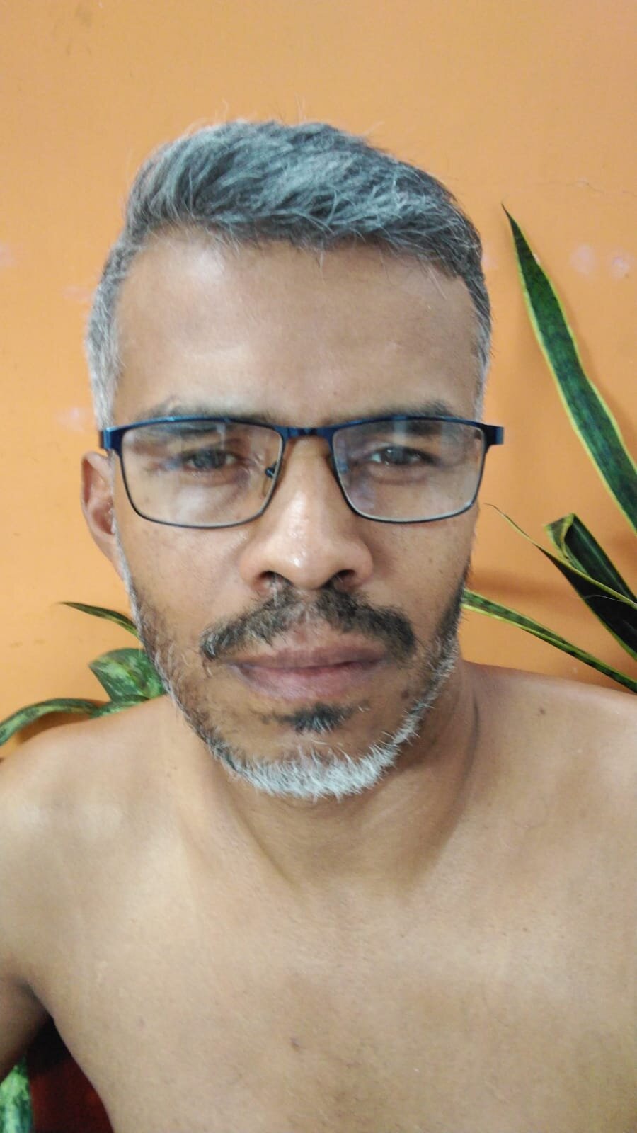telematicolo