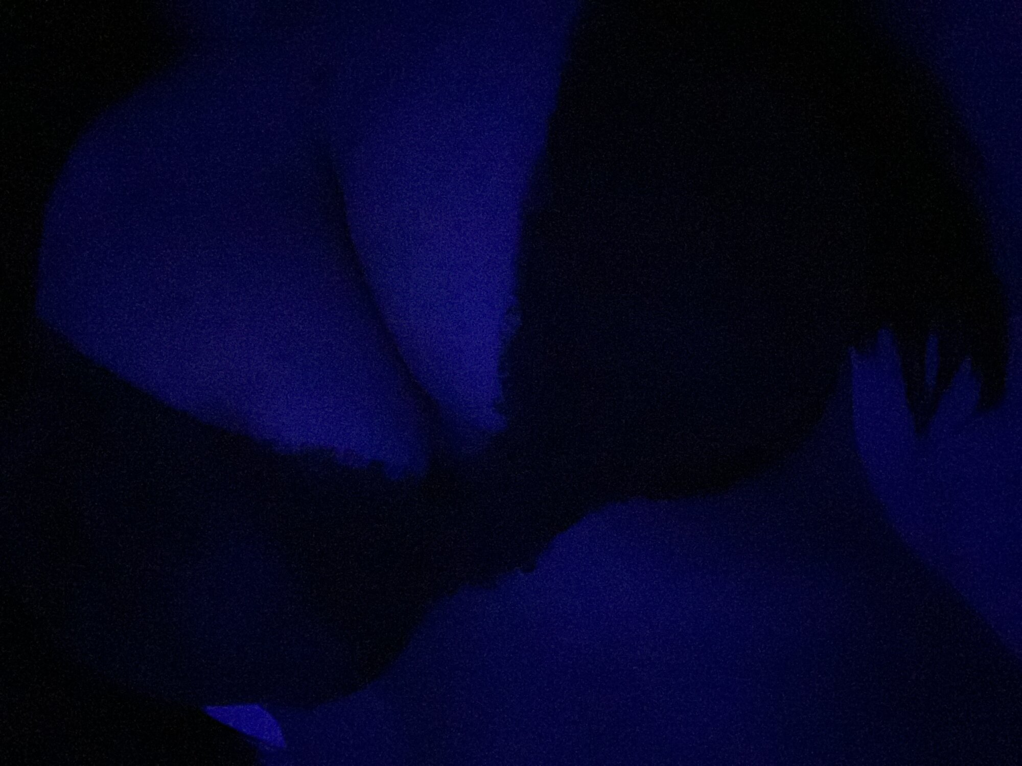 natashabankss