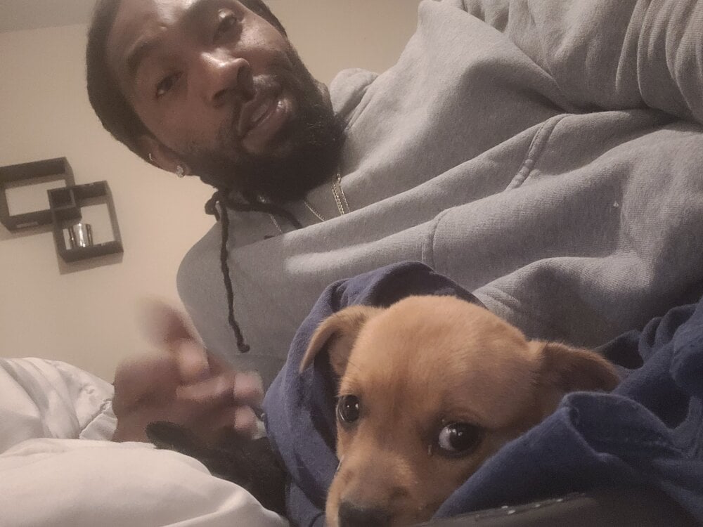 Chatroom XXX hors ligne de nick2nasty