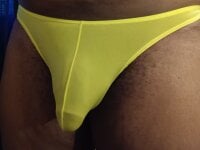 Model curved_up97