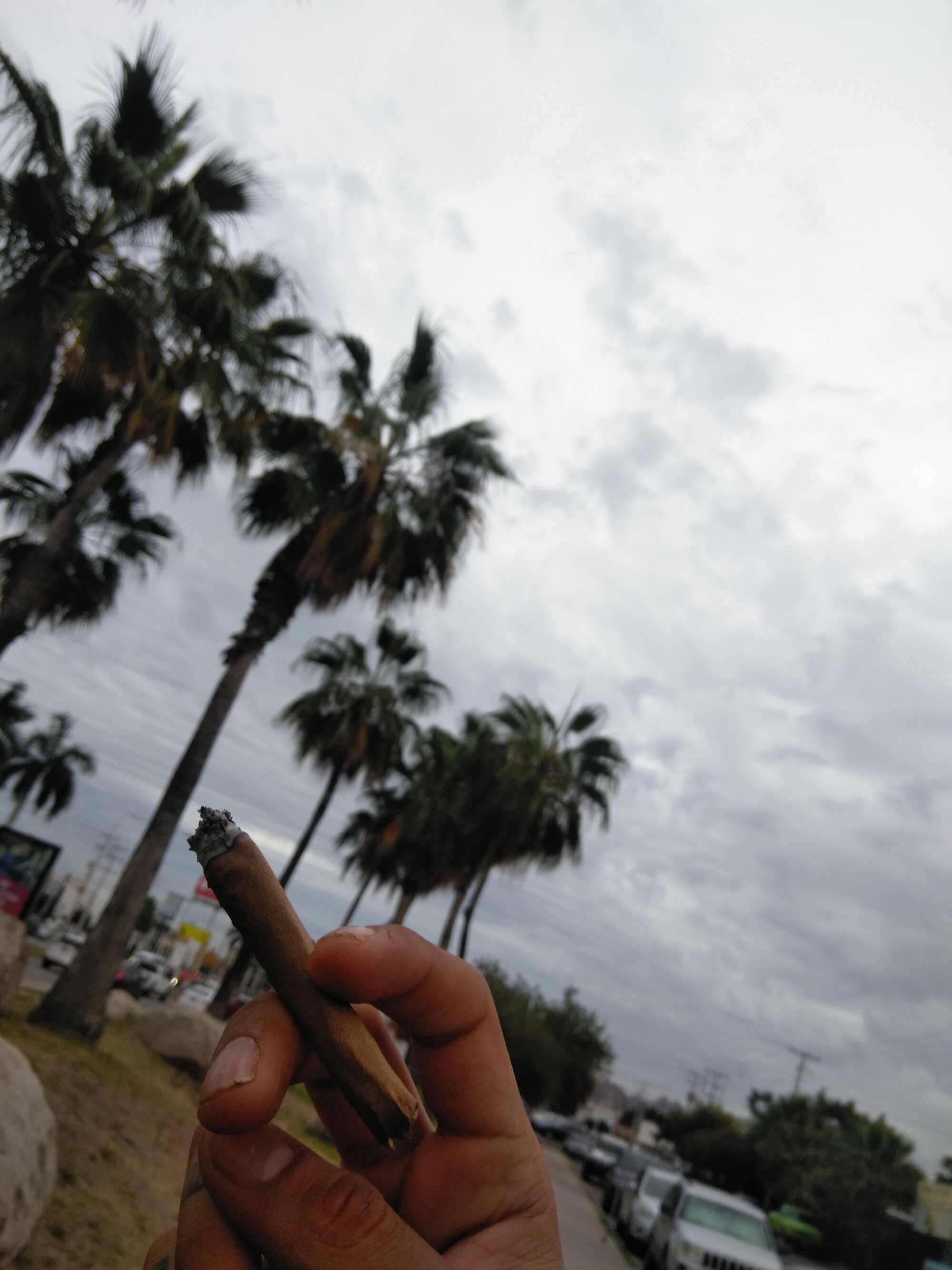 Miguelmxss