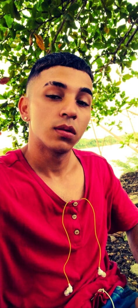 DaviidPerallta