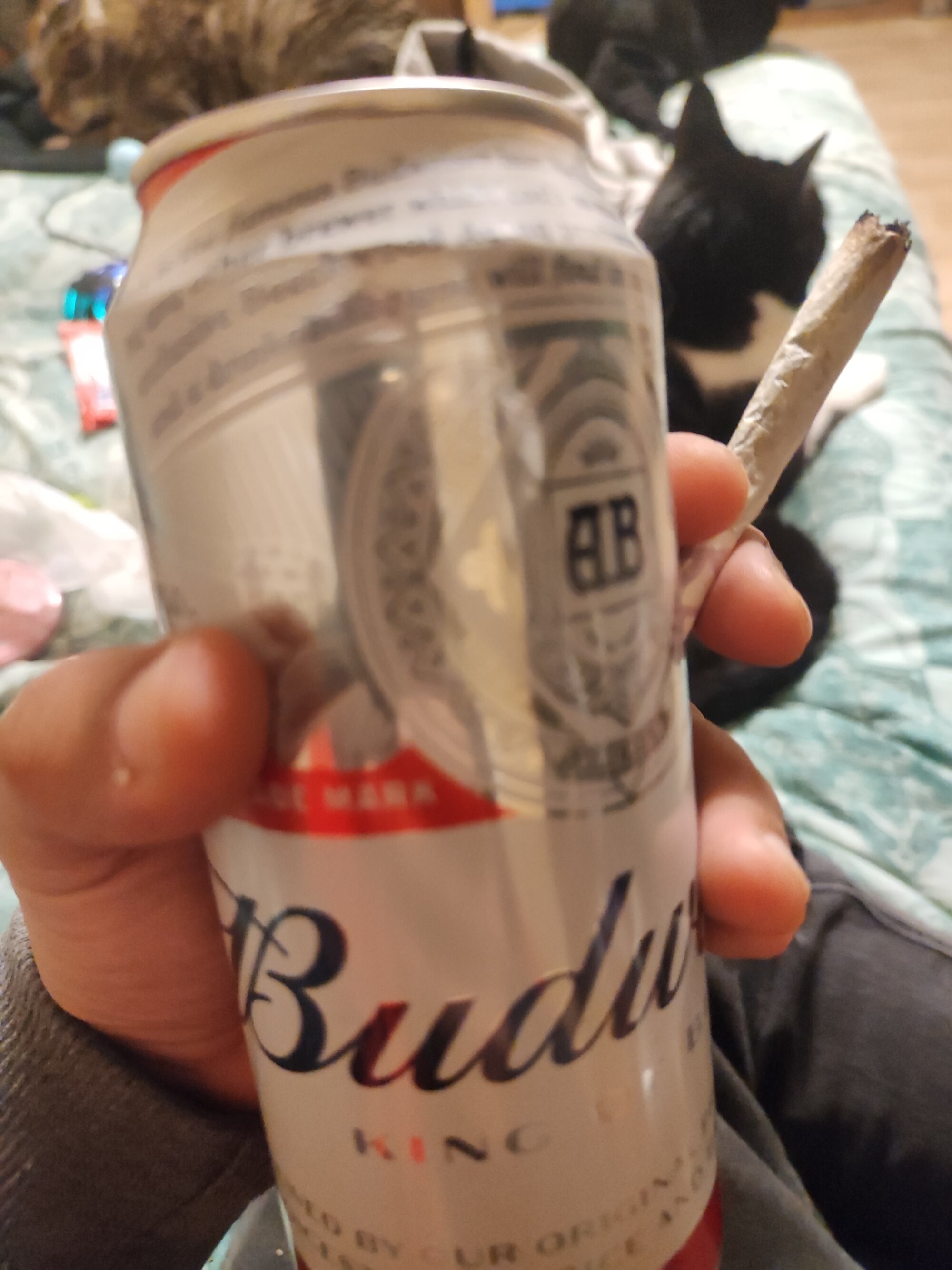 albert420time