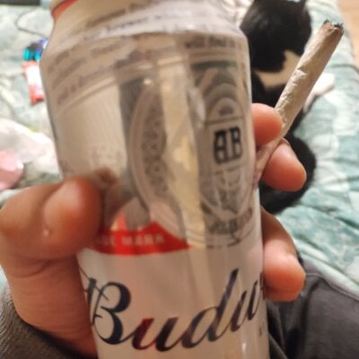 albert420time Avatar