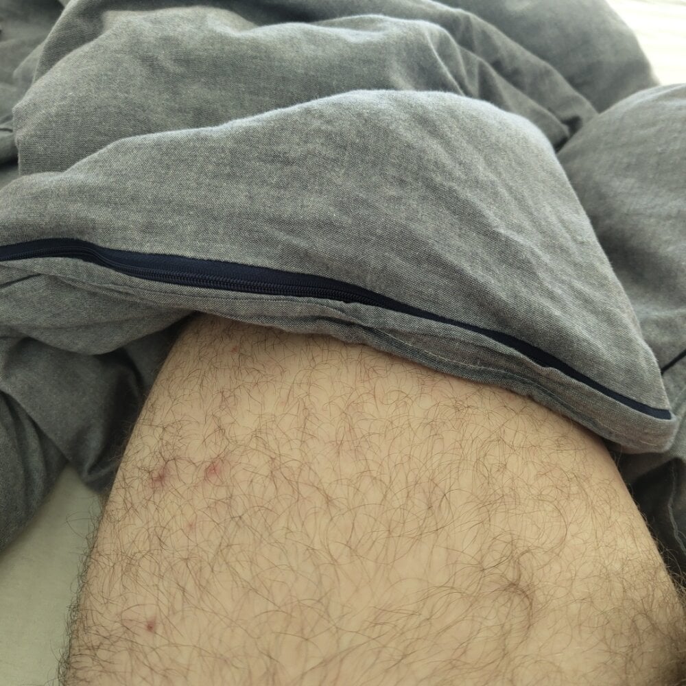 geiler_student from stripchat