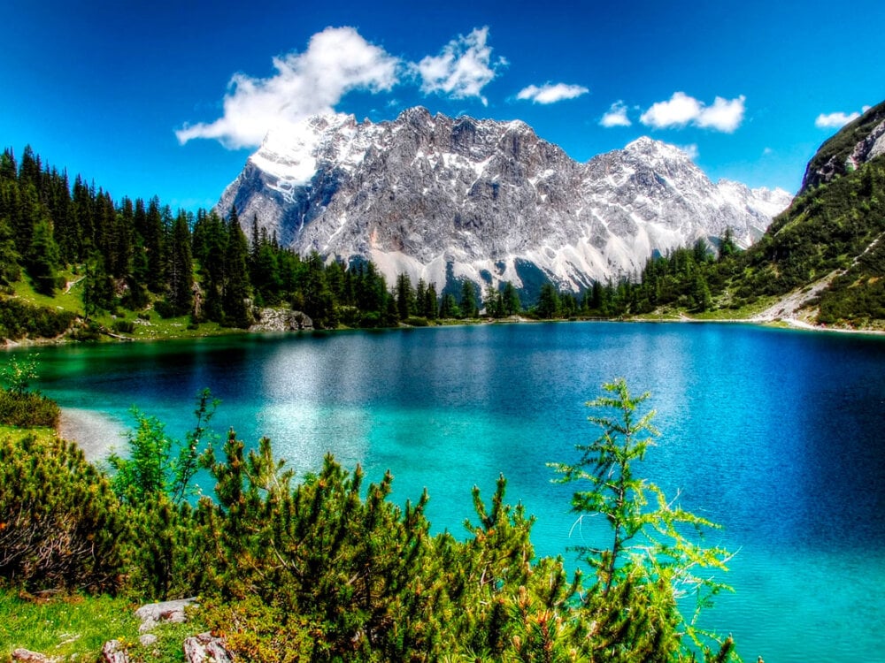 amateursex-livecam.com lady_venom_ livesex profile in trimmed cams