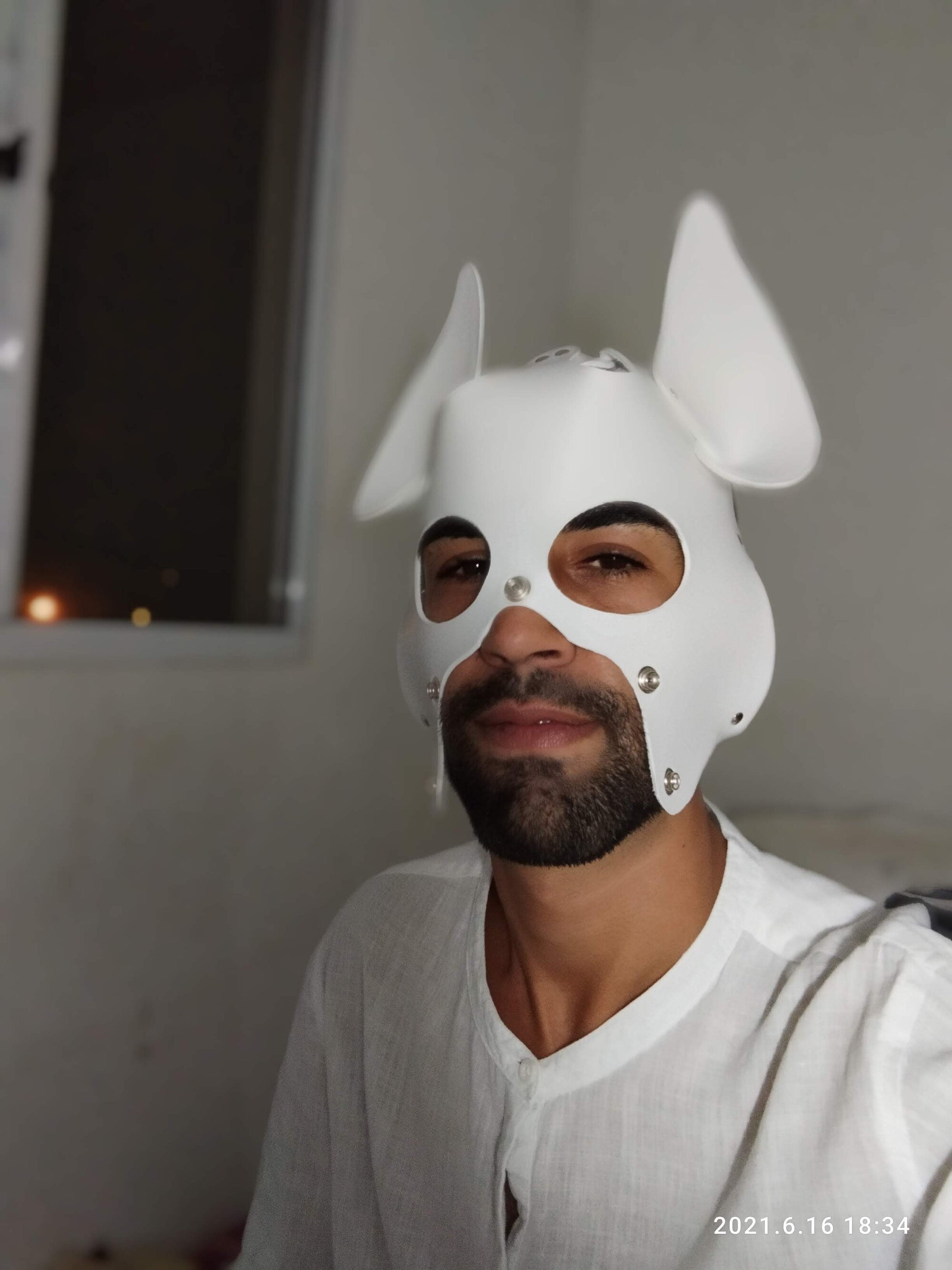 dogpumpdog