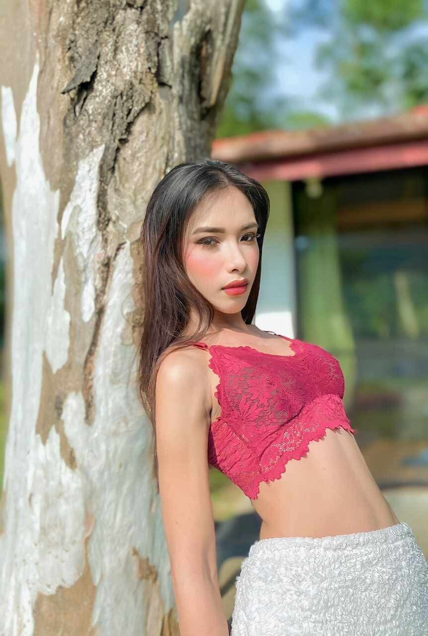 Nirafox