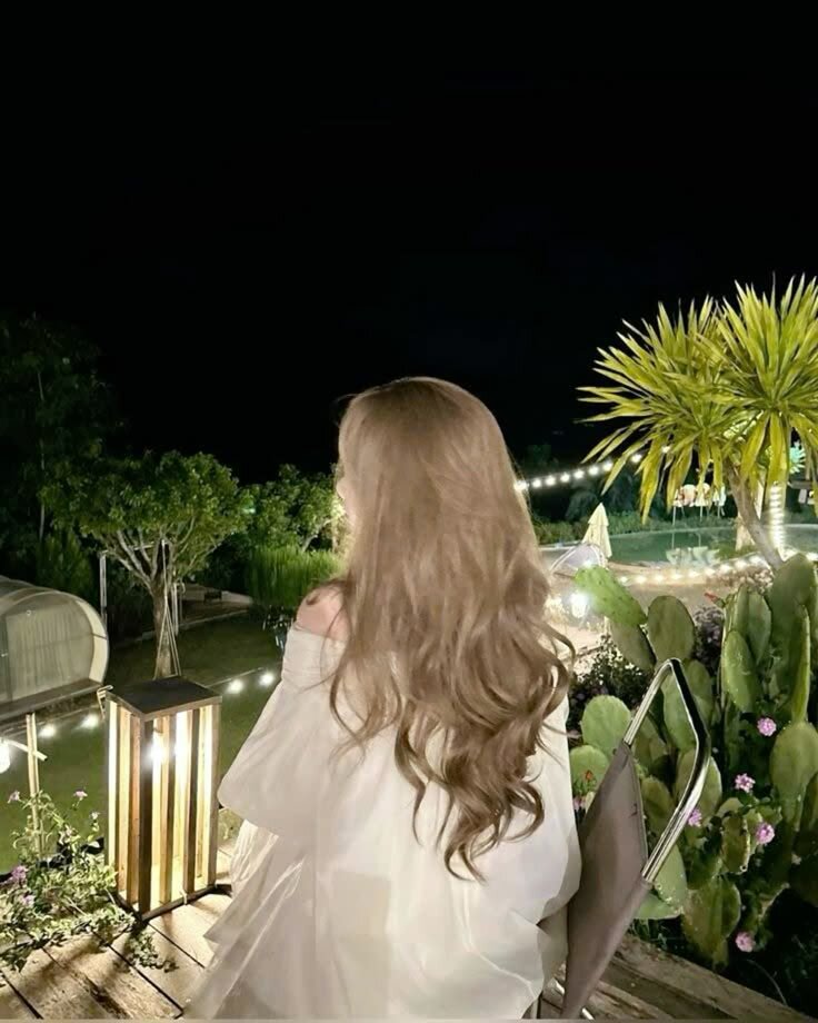 dakota_night_