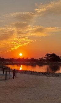 kingcock1312's webcam live show