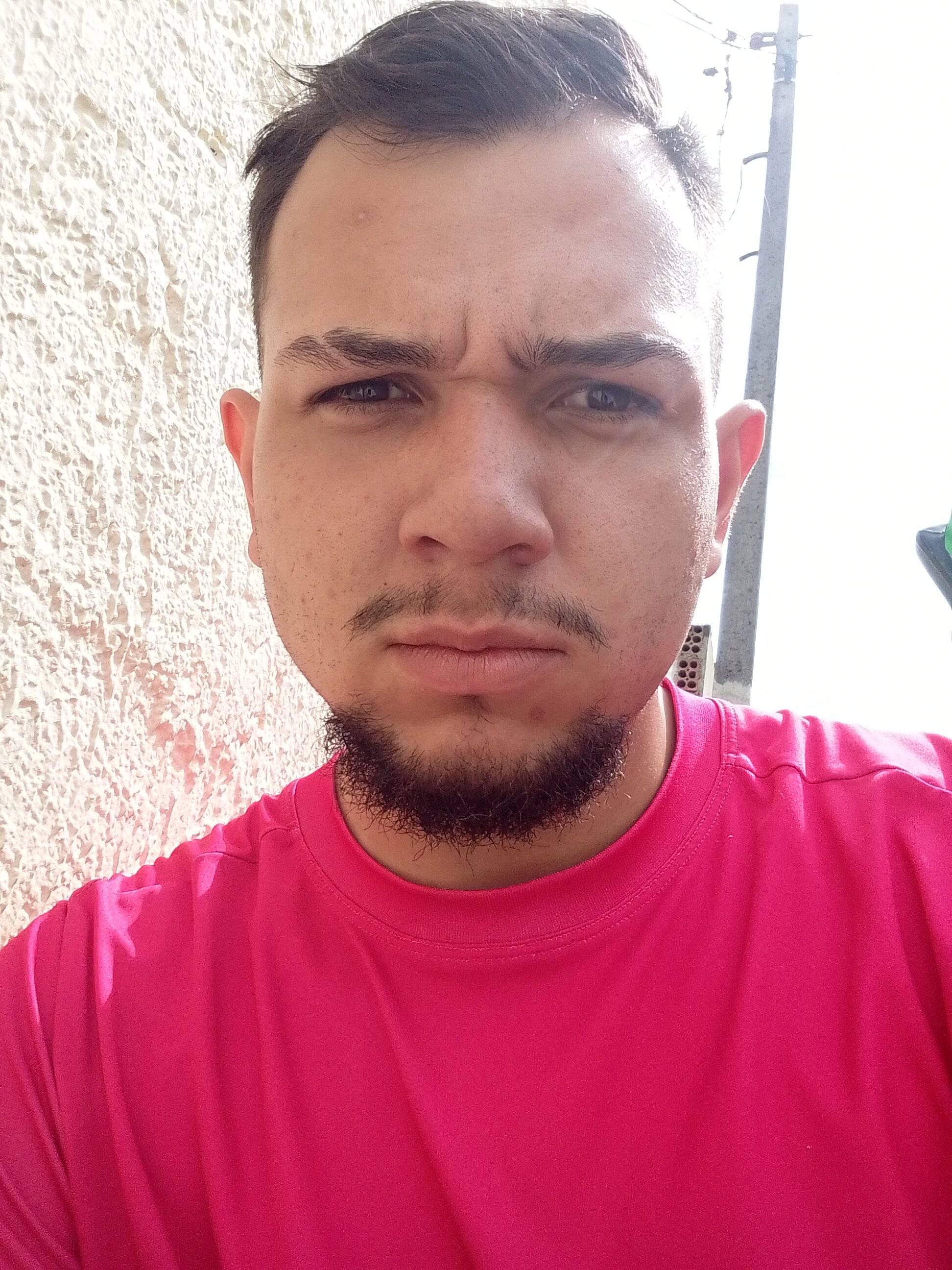 casadopaupequeno
