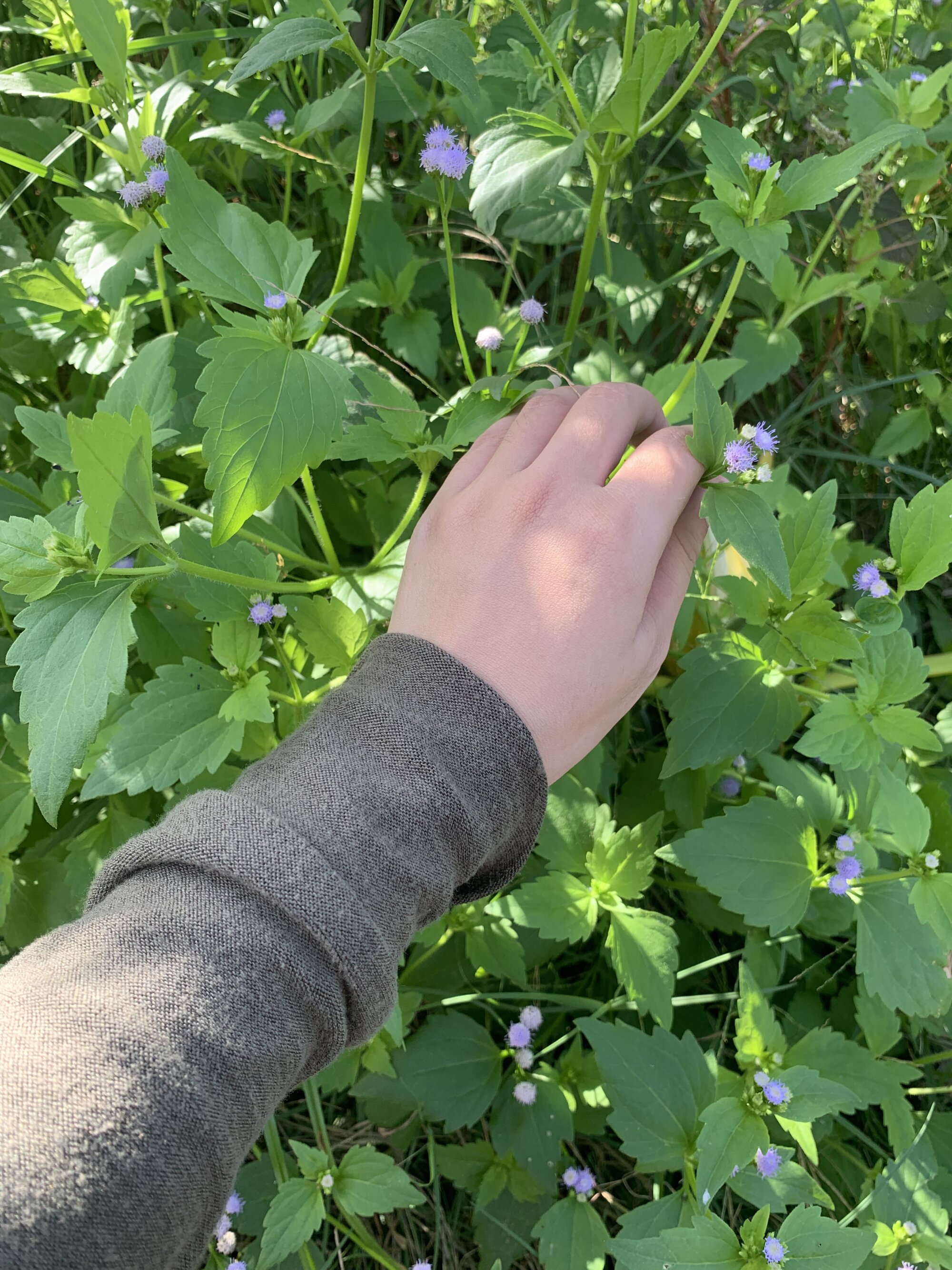 Kim_Kim21