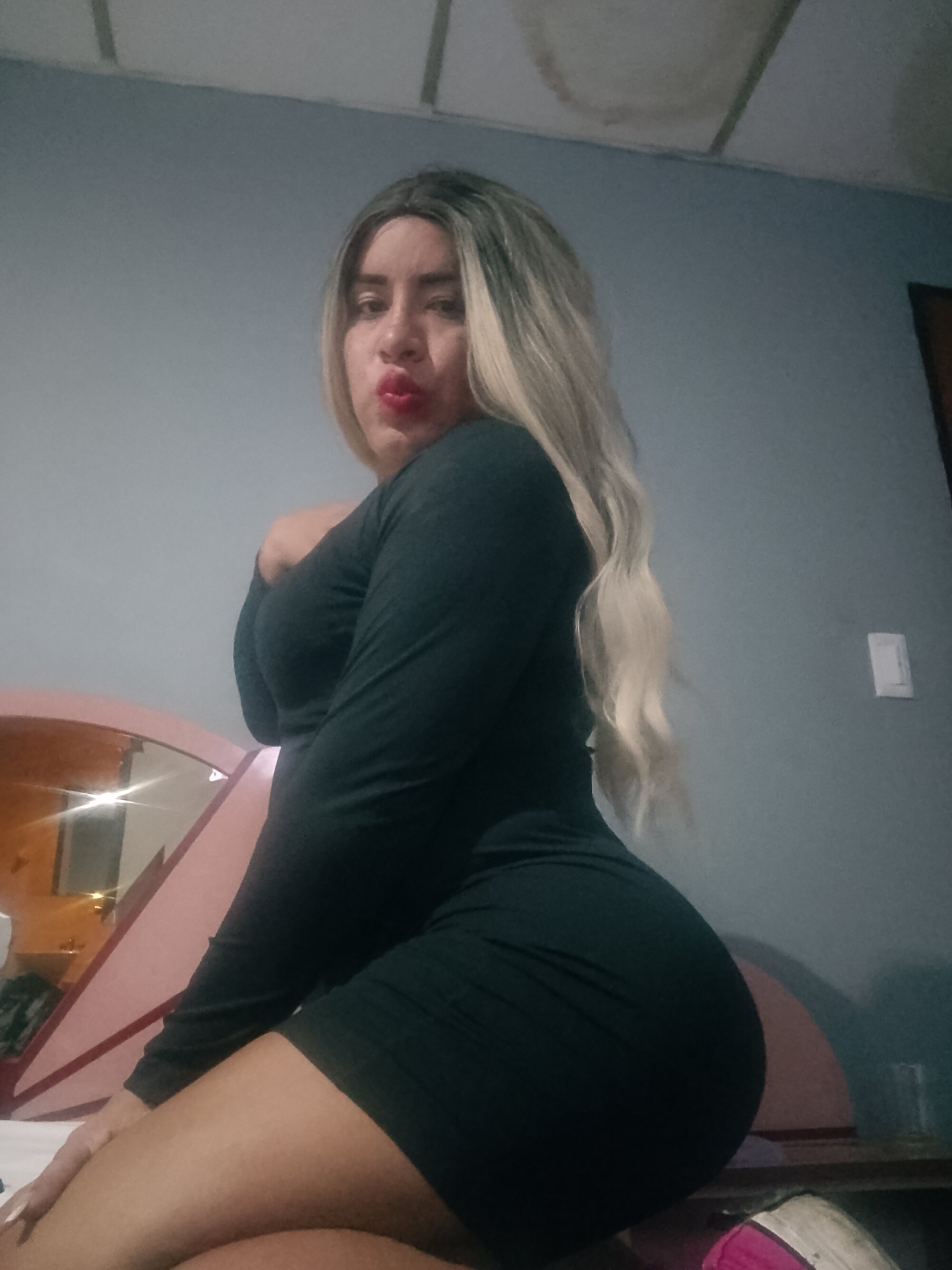 Alaintrans12