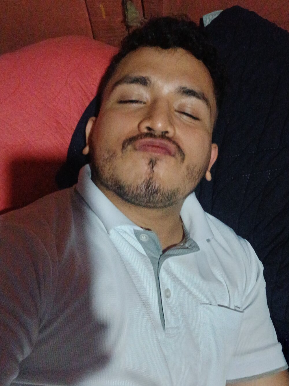 alex505n from stripchat