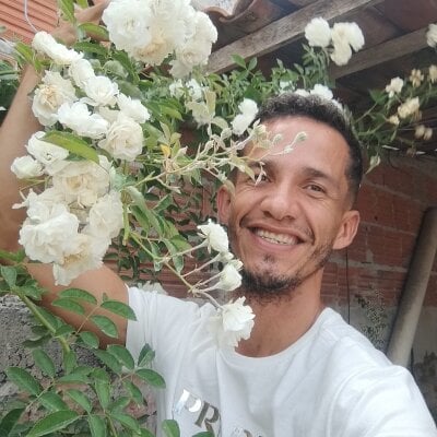 Ninfourso