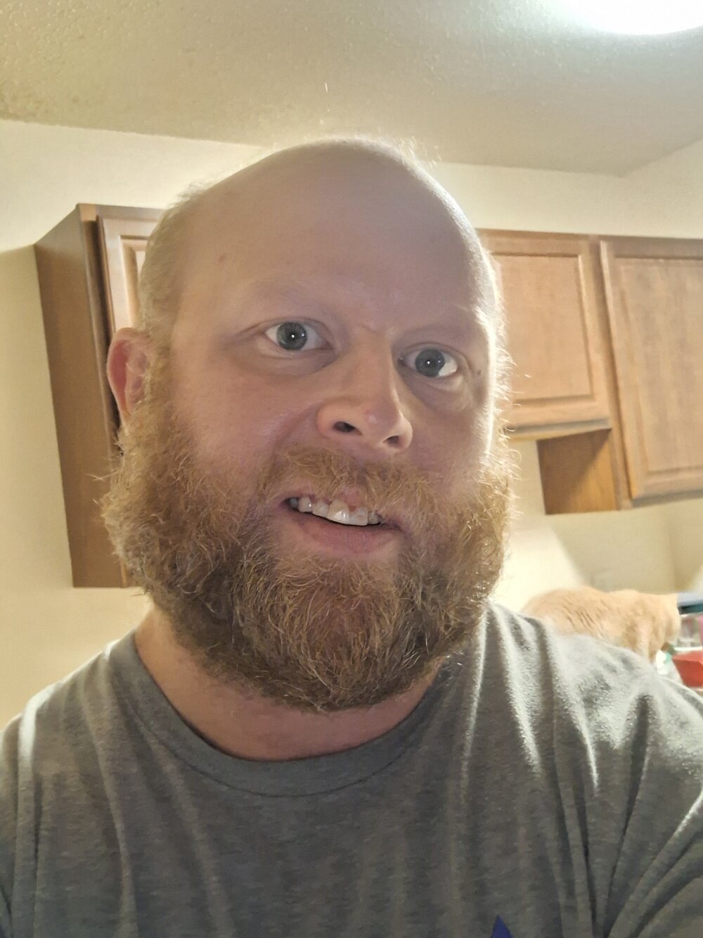 Adamlv1984 profile