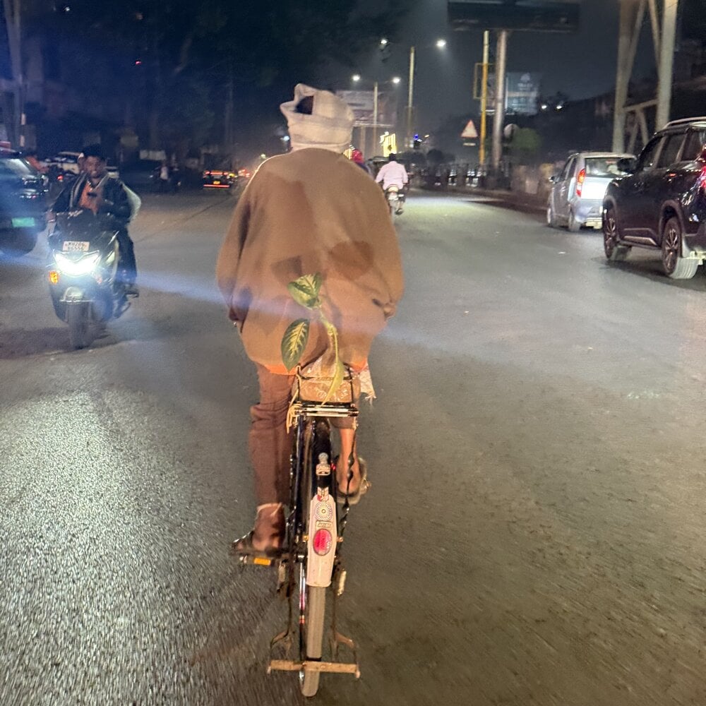 blackjerking profile