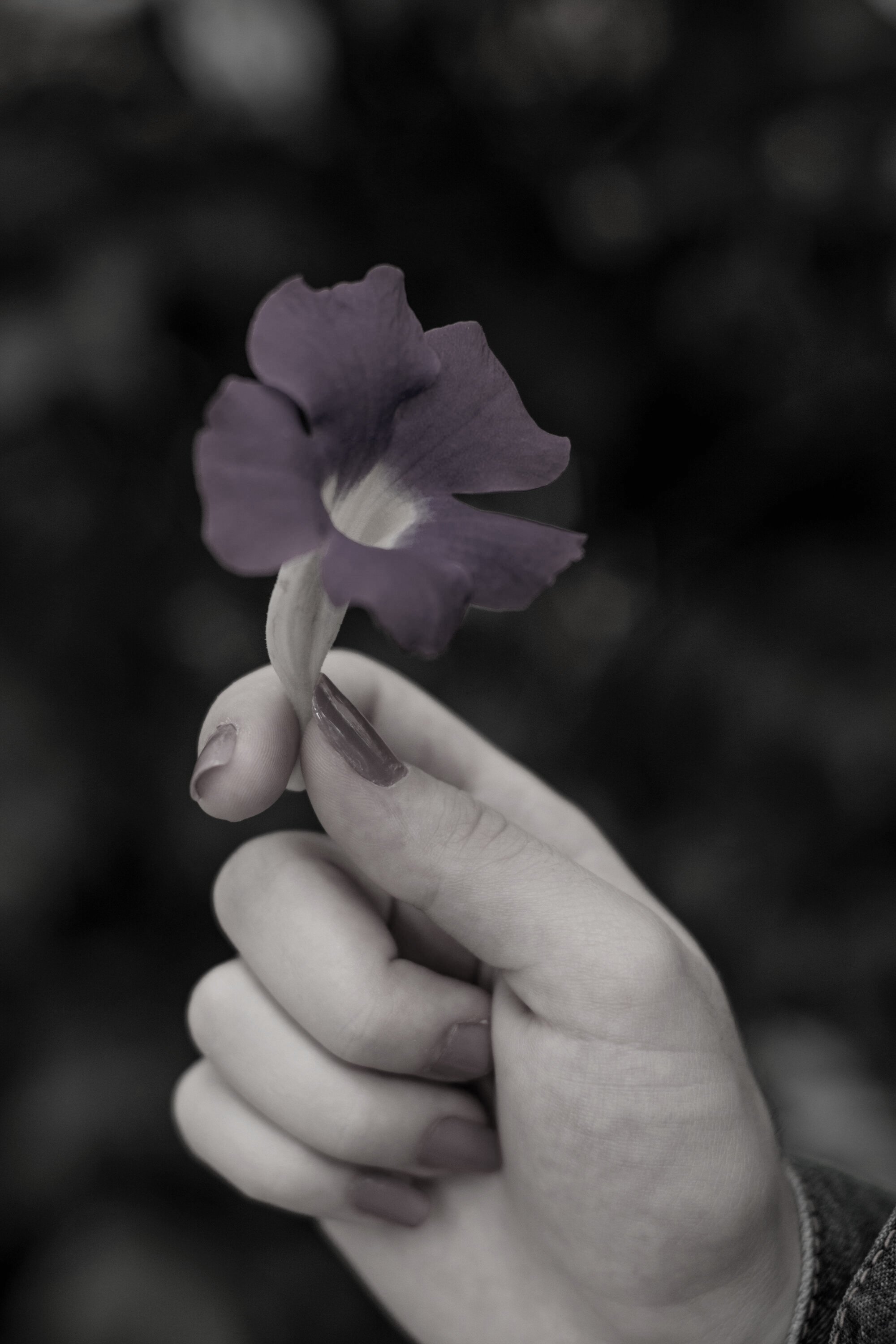 Mystery_Joy