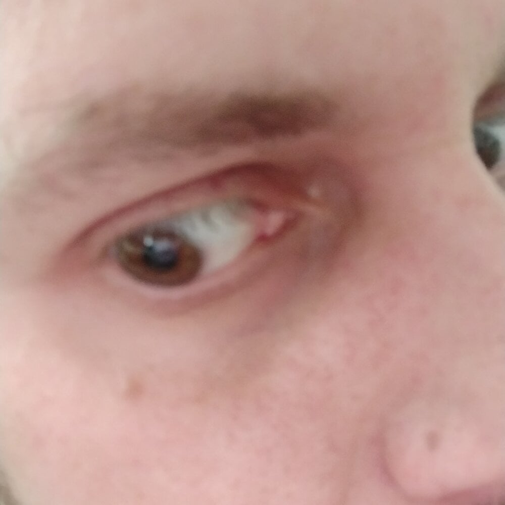 daniellikan's most recent online preview