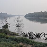 Модель ratanfck