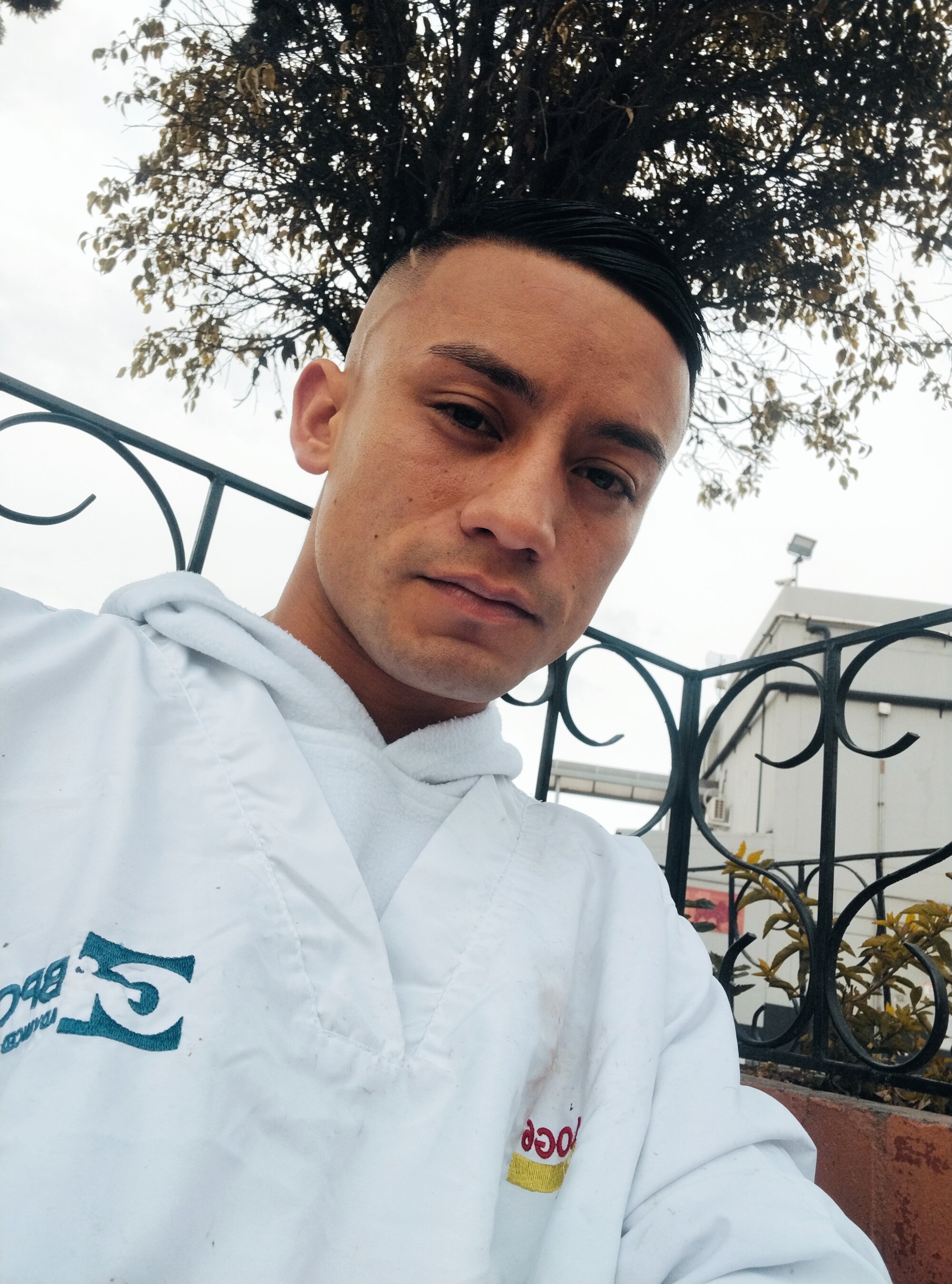 artebrandon