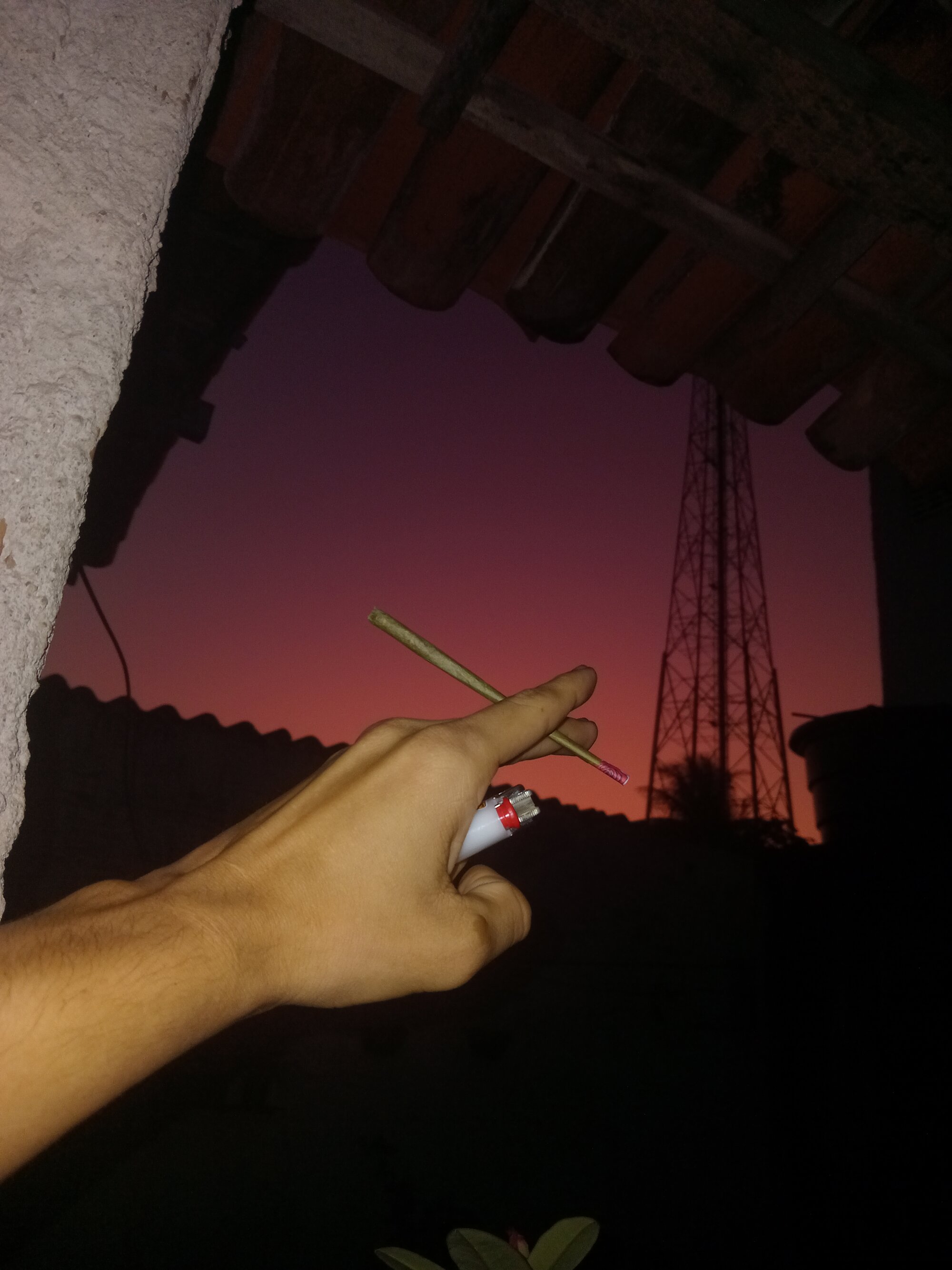 magrin77_