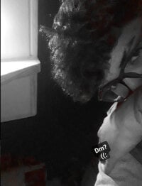 Benito_villa Webcam Model Profile