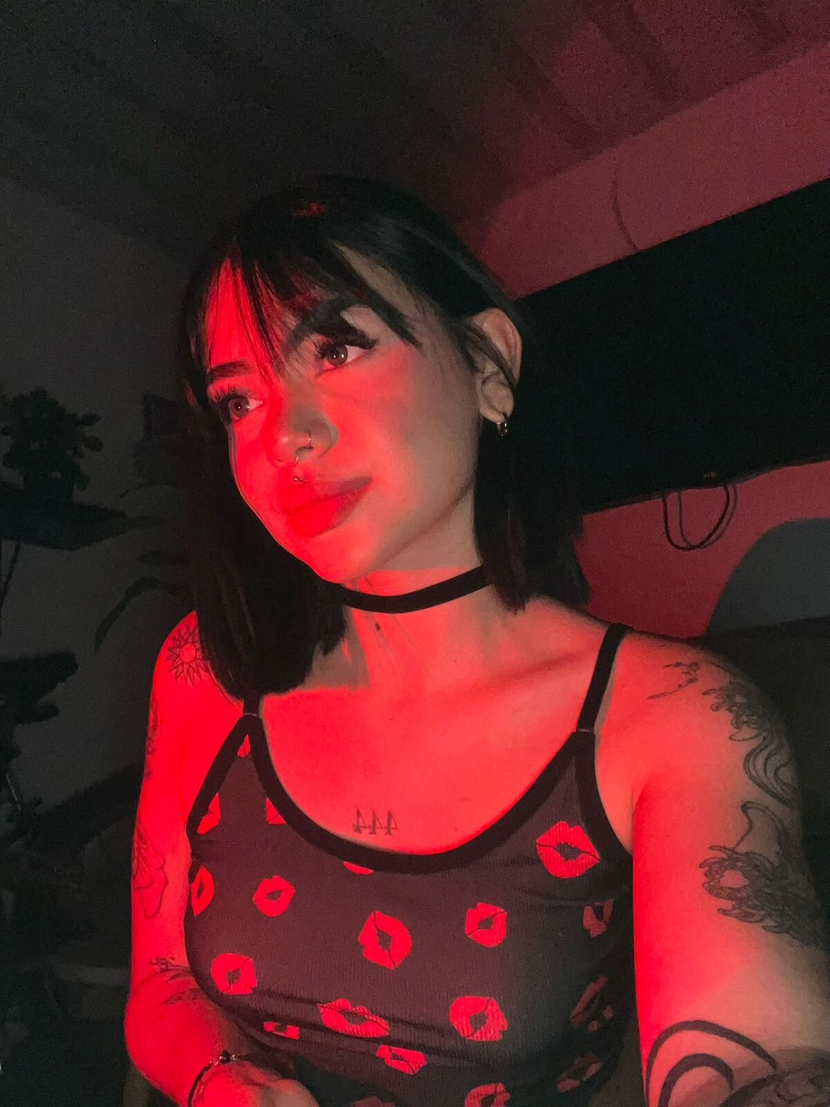 VioletEvanz