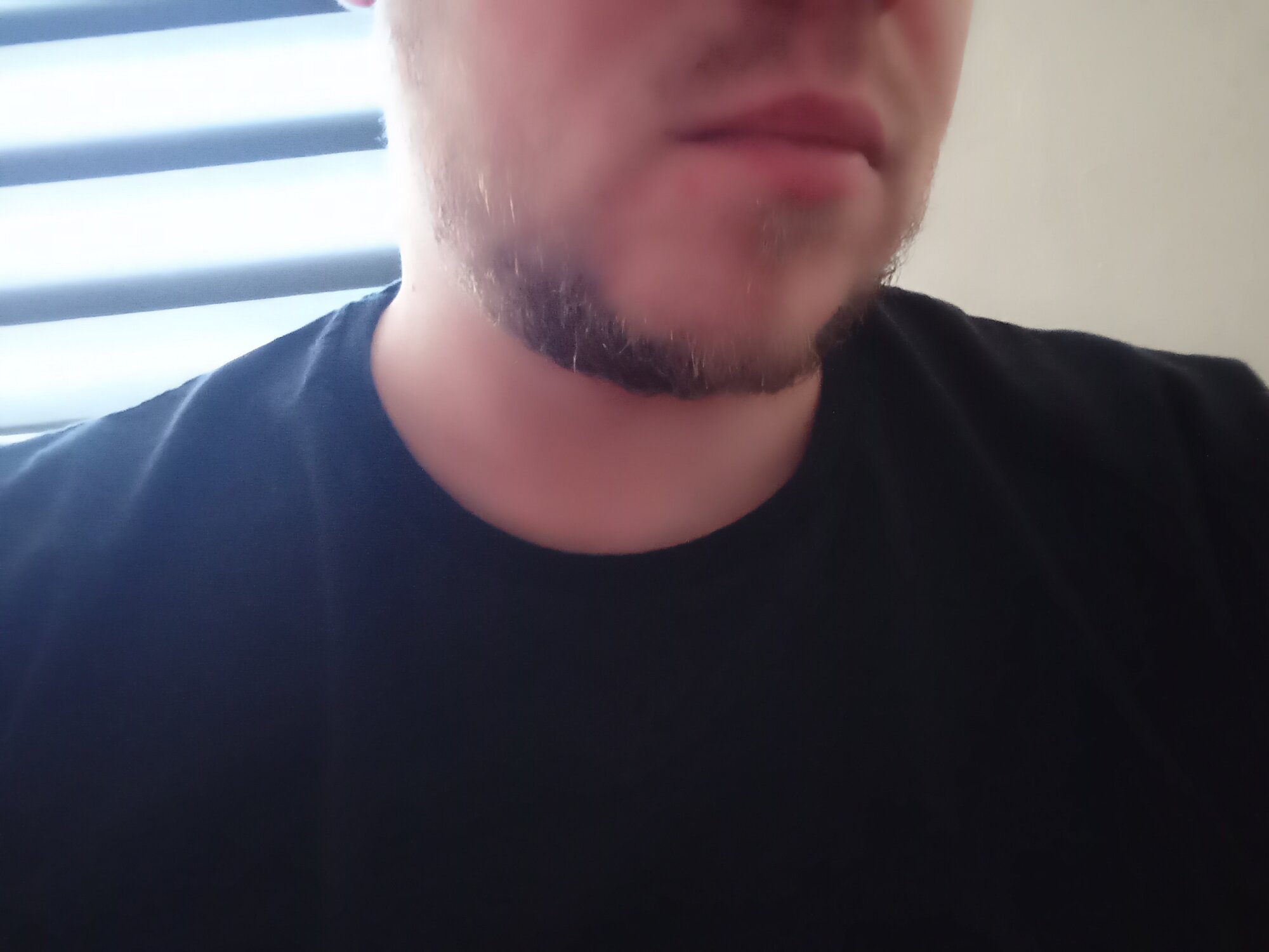 Dan_Aux_85
