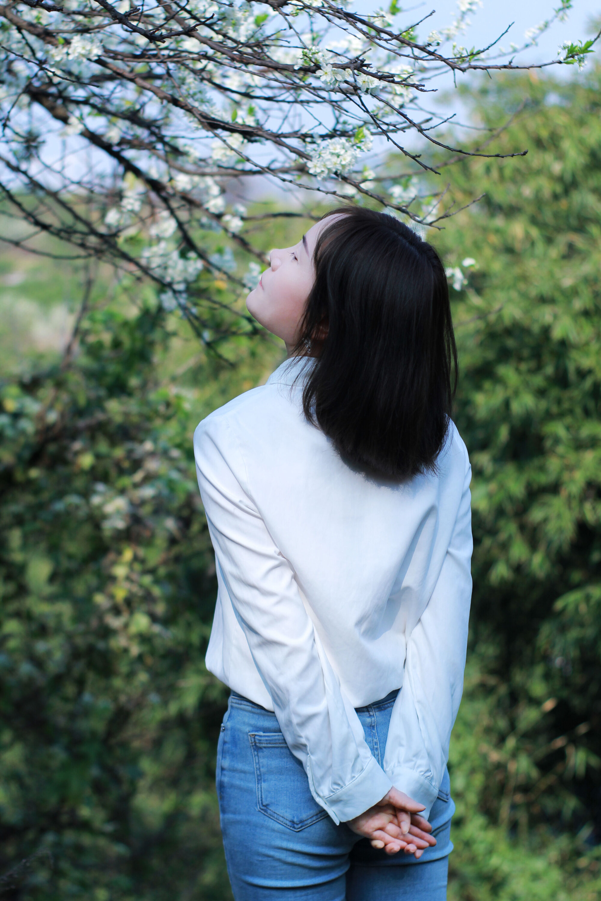 Asianloli