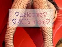 Модель RIO_26