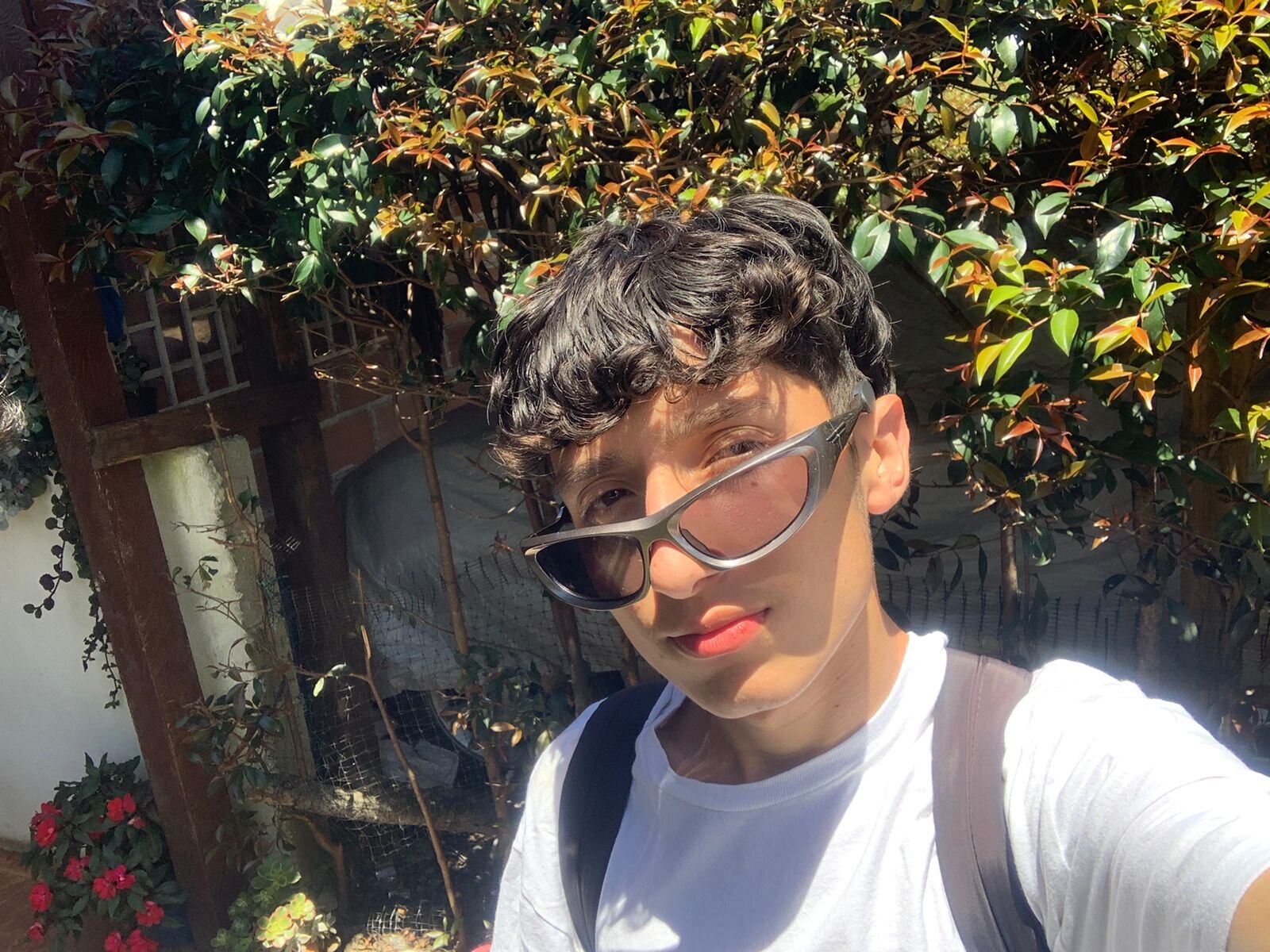 tylor_naugthy