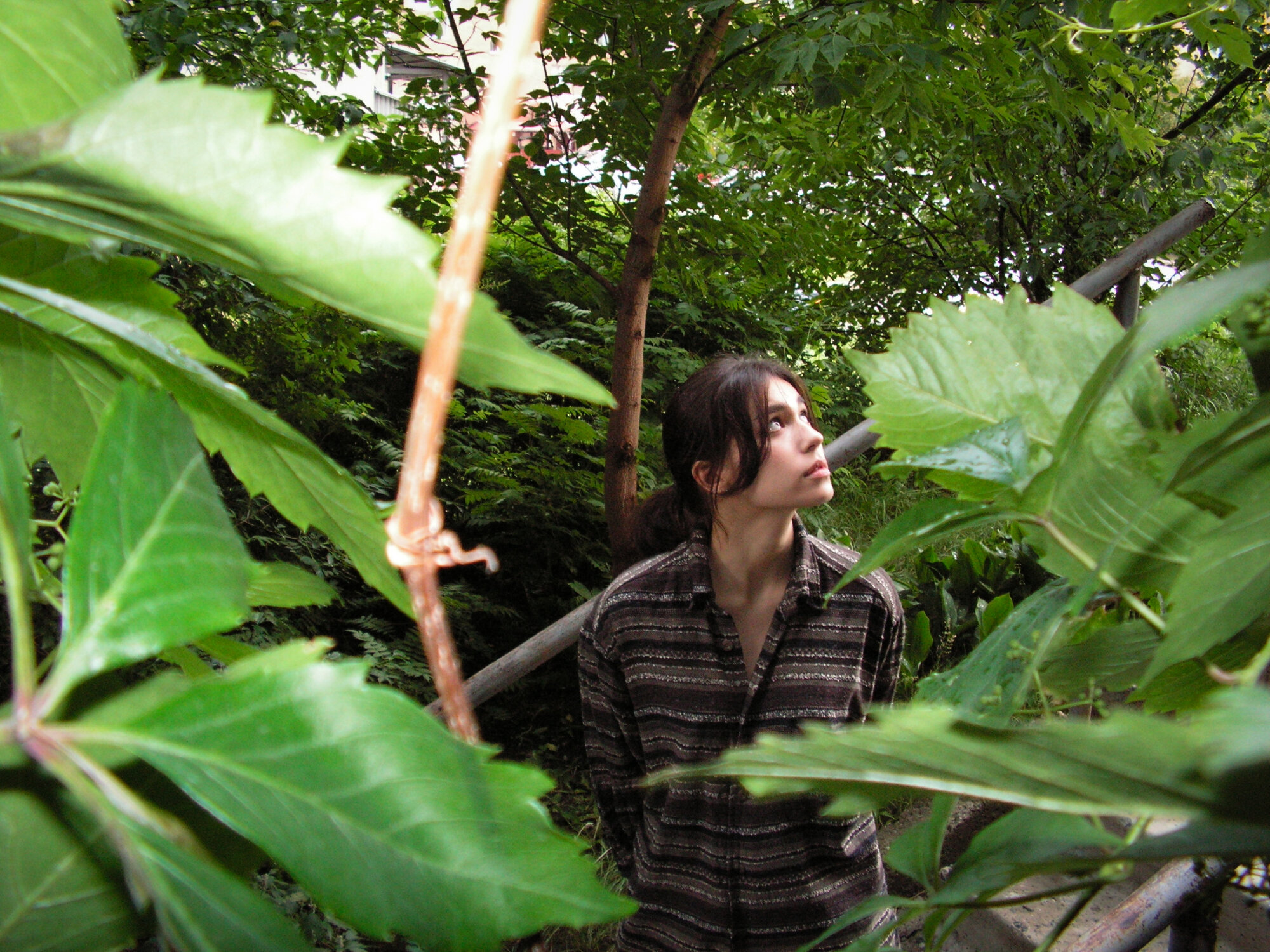 shygaze-