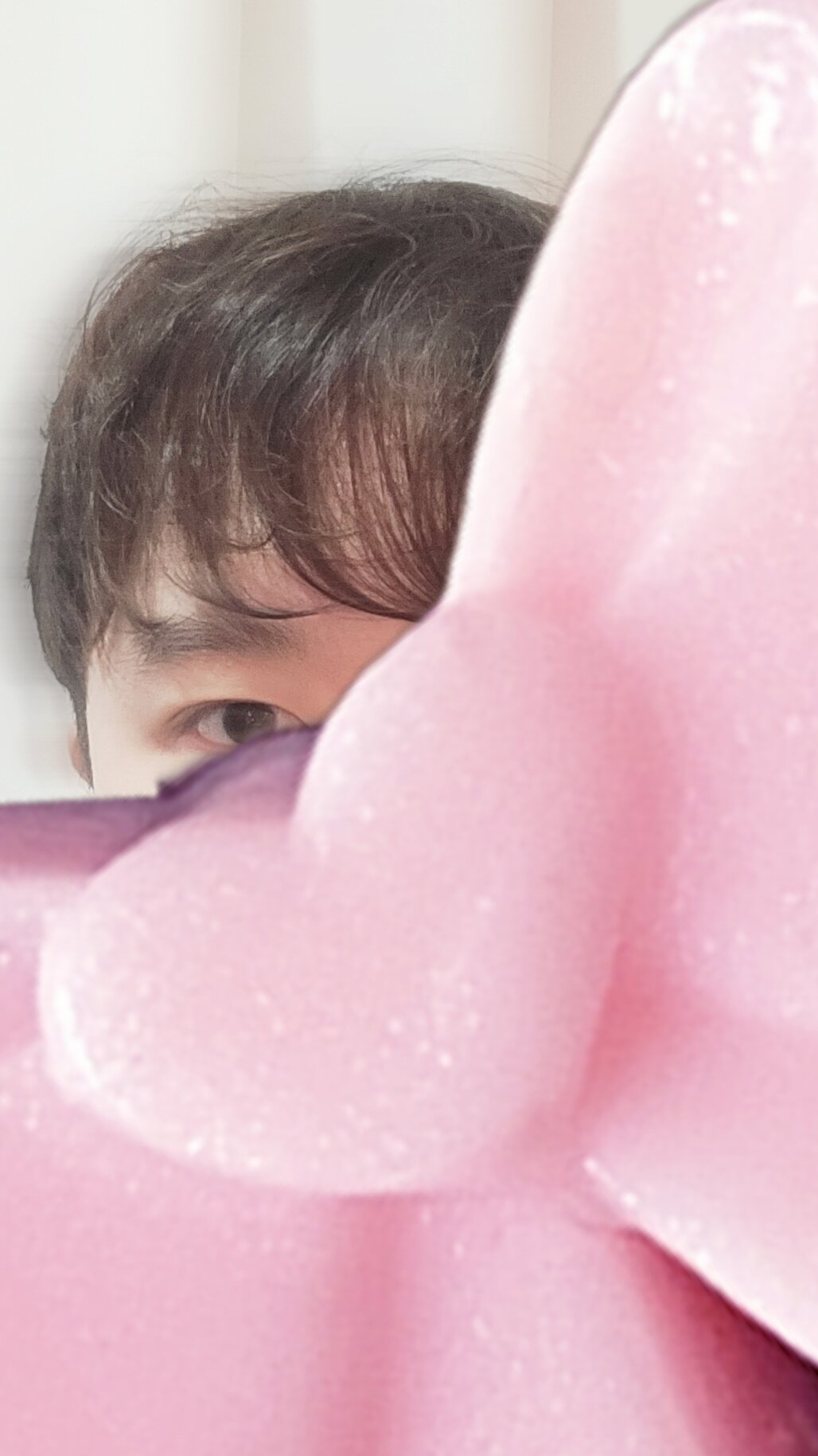 HR_haru