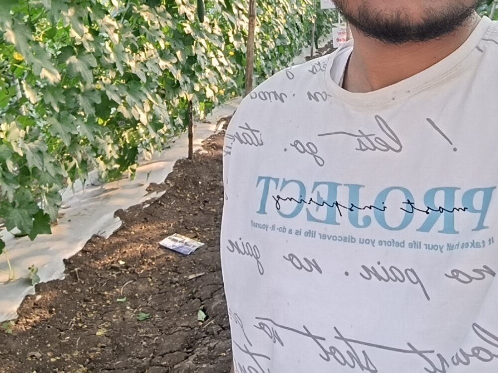 MasterShubham04 profile