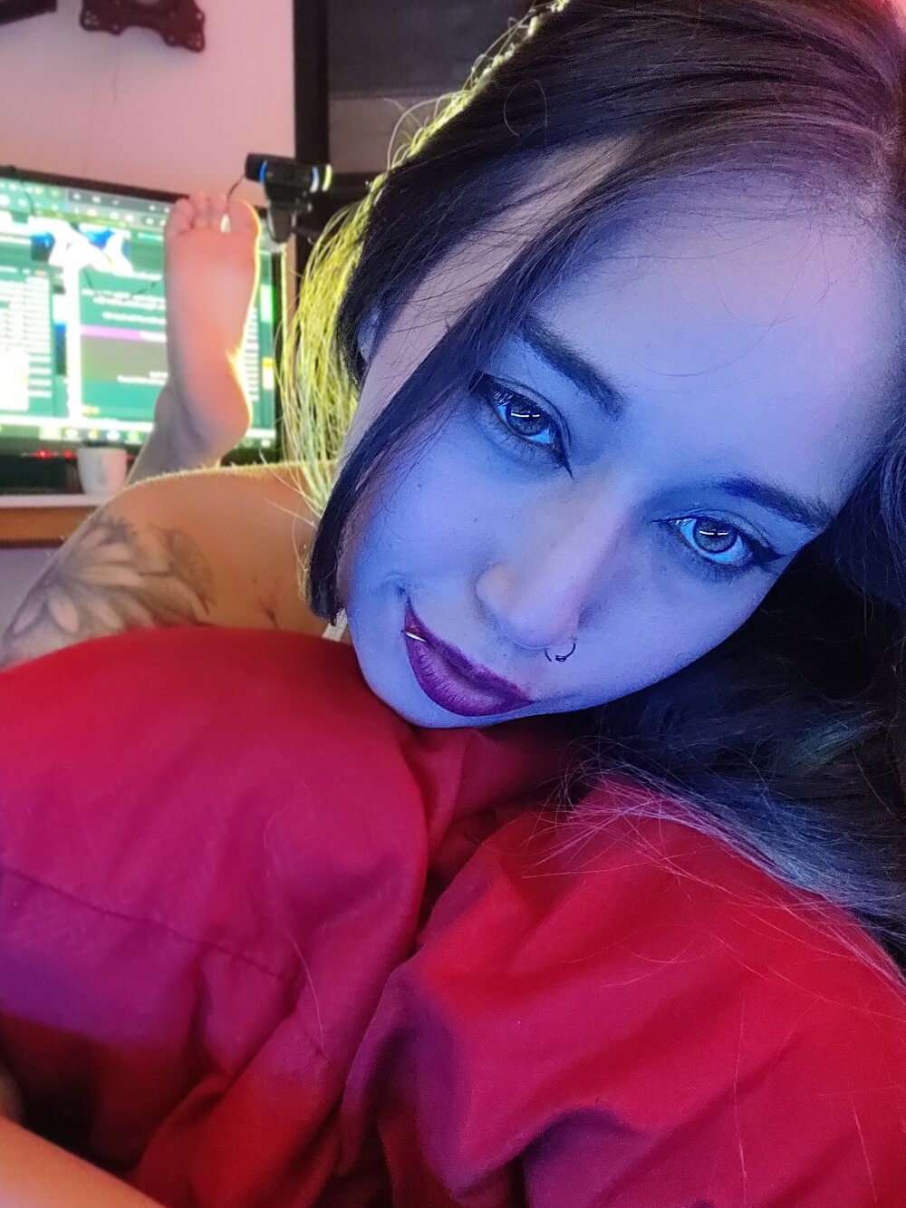 reashell_wbc profile