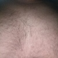 hairy-guy1 - Live Cam