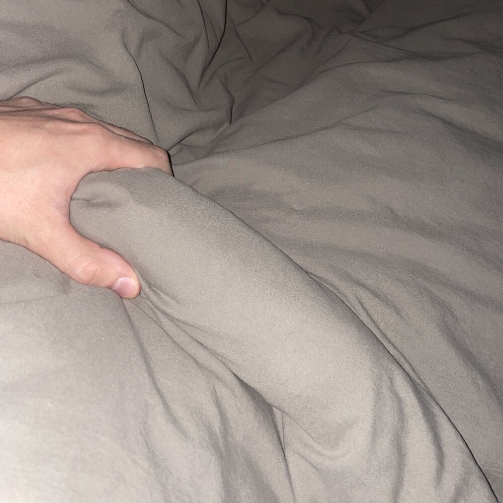 albX77 offline XXX-chat